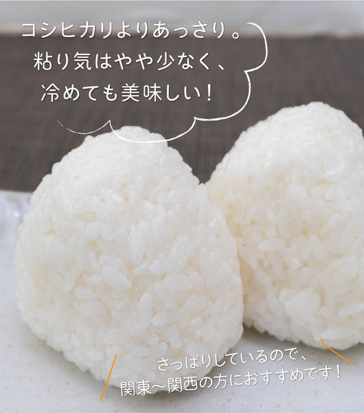 R6年産】新潟県産 こしいぶき 玄米30kg – 株式会社米福
