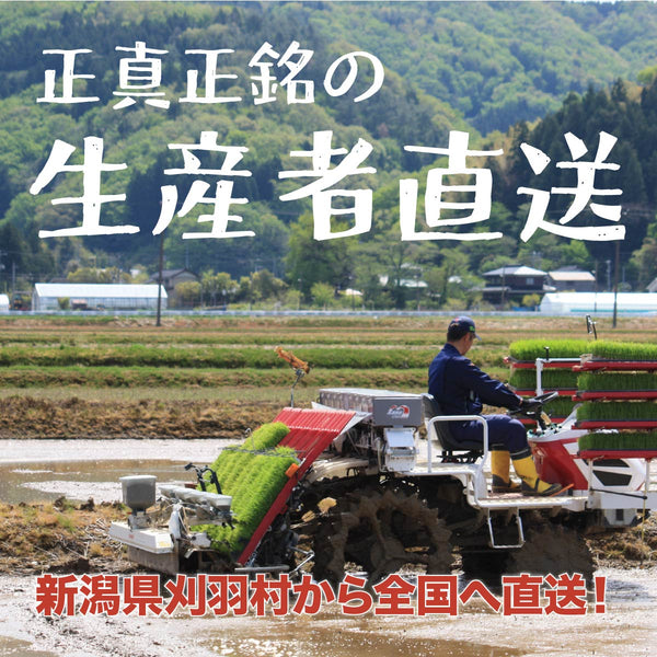 R5年産】新潟県産コシヒカリ 白米 27kg – 株式会社米福