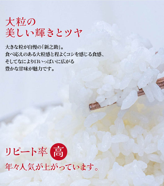 楽天市場】新米 60kgの通販
