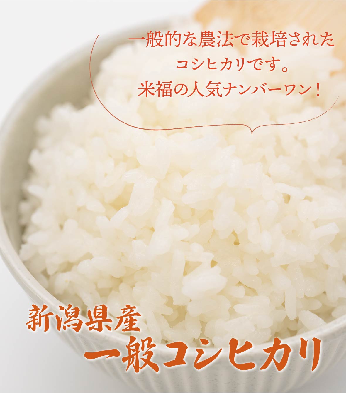 新潟県産コシヒカリ