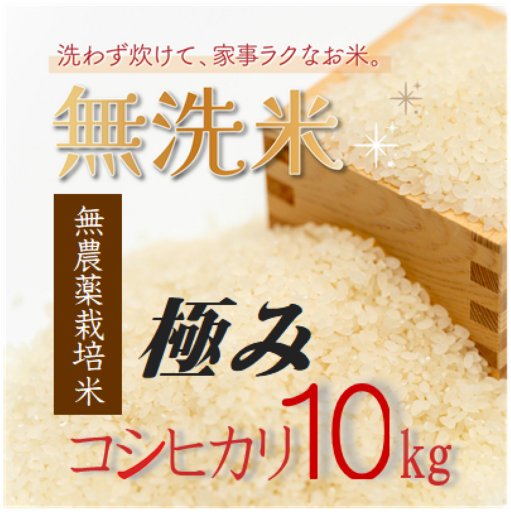 一等米 渡部家の新米こしひかり 10㎏玄米 有機栽培