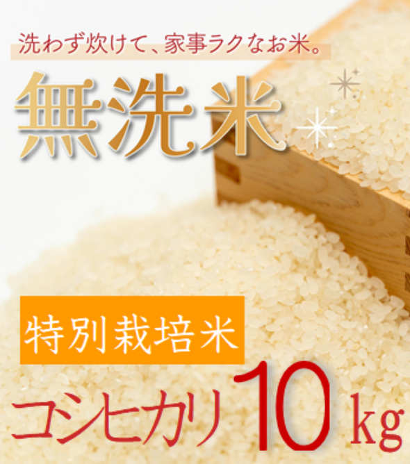 玄米 送料込!農薬不使用 無肥料 山口県産コシヒカリ 24.8kg R6 玄米 送料込!農薬不使用 無肥料 山口県産コシヒカリ 24.8kg R6