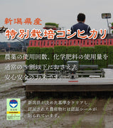 【R5年産】新潟県産 特別栽培コシヒカリ 玄米 10kg