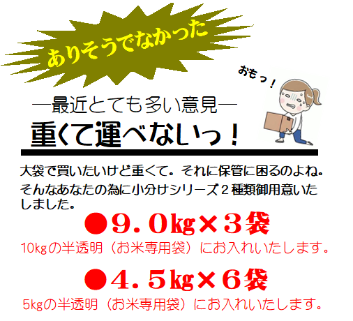 【R7年産】新潟県産コシヒカリ 白米 27kg 【便利な小分けタイプ4.5㎏×6袋】