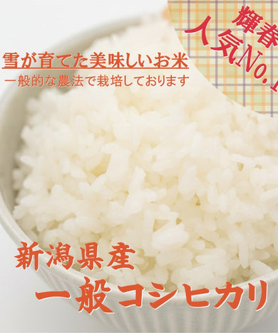 【R7年産】新潟県産コシヒカリ 白米 5kg