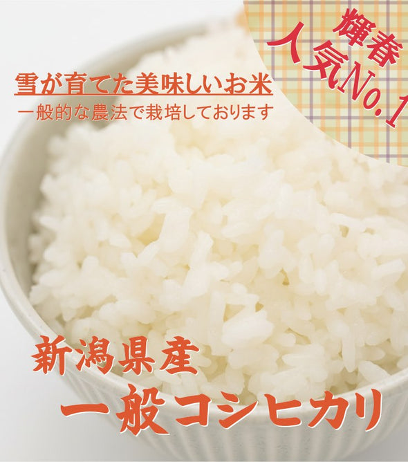 【R7年産】新潟県産コシヒカリ 白米 5kg
