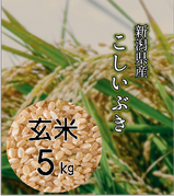 【R5年産】新潟県産 こしいぶき 玄米5kg