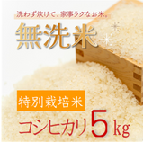 【無洗米】新潟県産特別栽培コシヒカリ 5kg 【R5年産】