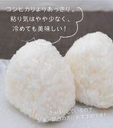 【R5年産】新潟県産 こしいぶき 白米 27㎏【便利な小分けタイプ9㎏×3袋】