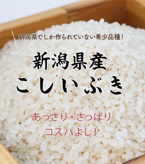 楽天市場】新潟 こしいぶき 米の通販