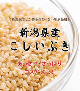【R5年産】新潟県産 こしいぶき 玄米10kg