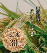【R5年産】新潟県産 こしいぶき 玄米30kg