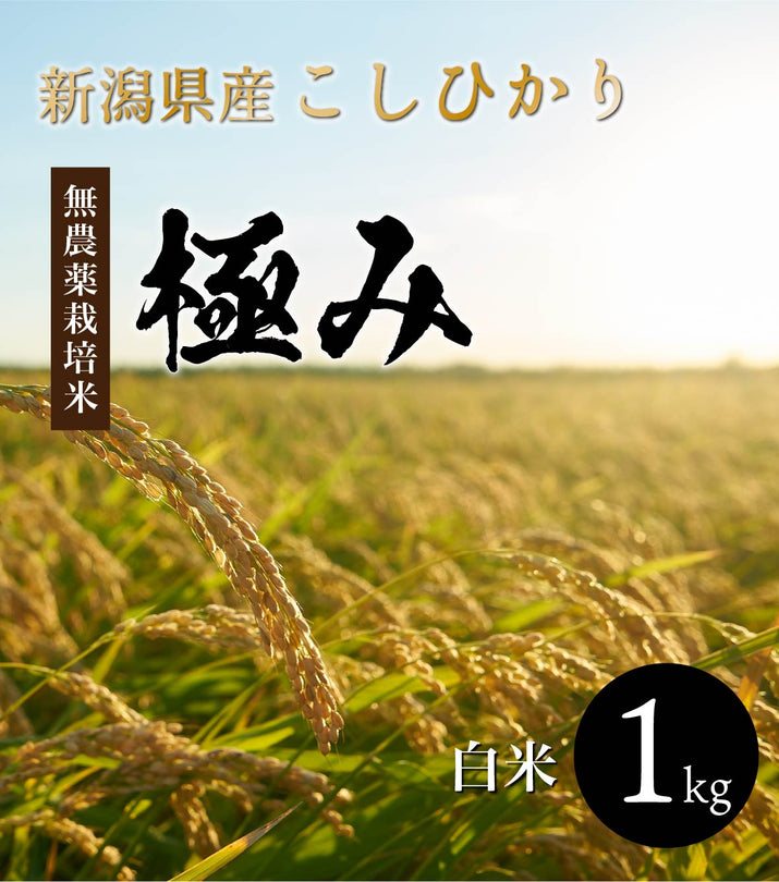 完全無農薬　–　極み】1kg　新潟県産コシヒカリ【R5年産】　株式会社米福
