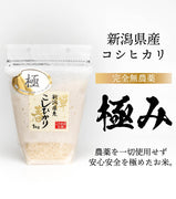 【極み】玄米2kg 完全無農薬 新潟県産コシヒカリ【R5年産】