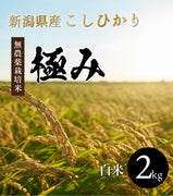 【極み】2kg 完全無農薬 新潟県産コシヒカリ【R5年産】