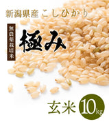 【極み】玄米10kg 完全無農薬 新潟県産コシヒカリ【R5年産】
