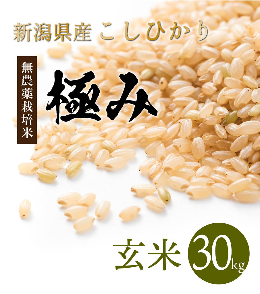 新潟県産コシヒカリ玄米30キロ(令和4年産) - 米