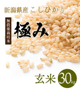 【極み】玄米30kg 完全無農薬 新潟県産コシヒカリ【R5年産】
