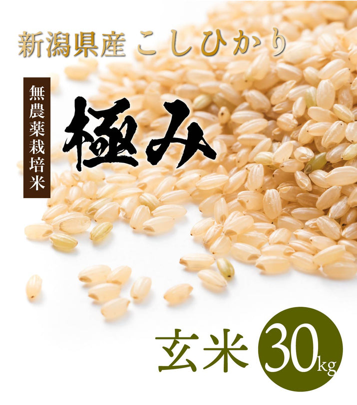 コシヒカリ玄米約３０kg