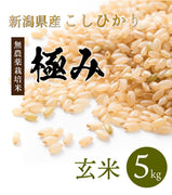 【極み】玄米5kg 完全無農薬 新潟県産コシヒカリ【R5年産】