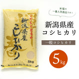 【R5年産】新潟県産コシヒカリ 白米 5kg
