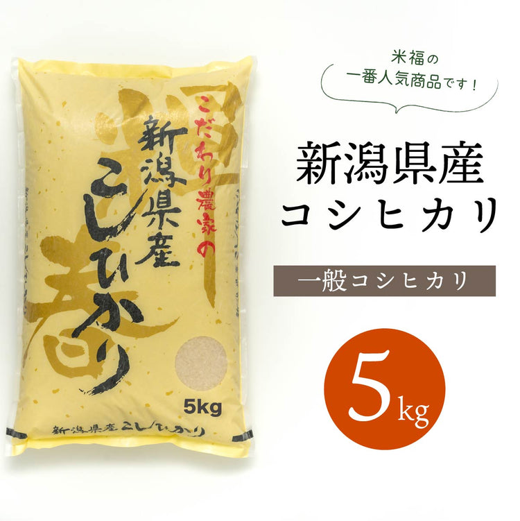 コシヒカリ(白米 5kg) 引出物 - 米・雑穀・粉類