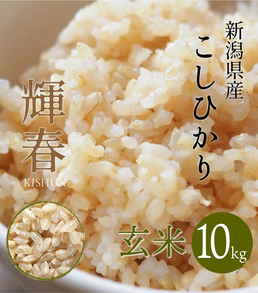 コシヒカリ玄米 10キロ - 米