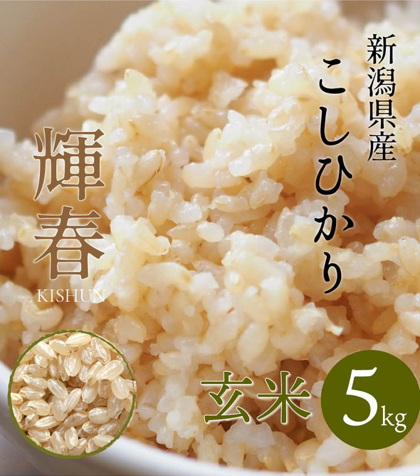 期間限定価格商品 koshi_genmai_5kg_01_590X668_cr 米/穀物