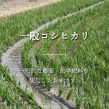 【R5年産】新潟県産コシヒカリ 玄米2kg
