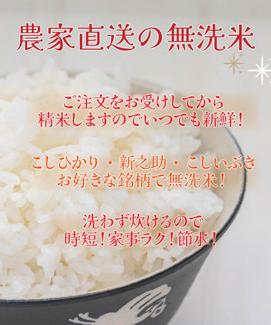 【無洗米】新潟県産新之助 26kg【R6年産】