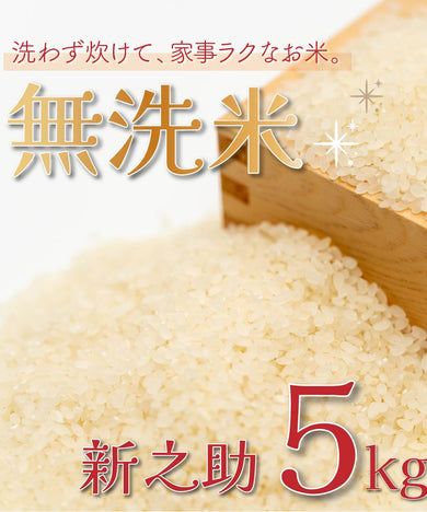 無洗米】新潟県産コシヒカリ 2kg【R6年産】 – 株式会社米福