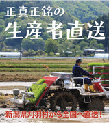 【R5年産】新潟県産コシヒカリ 白米 10kg