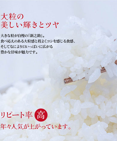 新之助 玄米 2kg 【R6年産】 – 株式会社米福