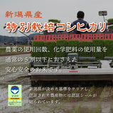 【R5年産】新潟県産 特別栽培コシヒカリ 白米 2kg