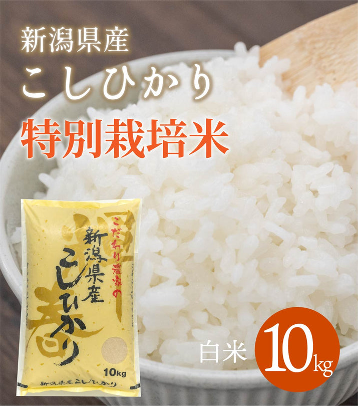 R6年産】新潟県産 特別栽培コシヒカリ 白米 10kg – 株式会社米福