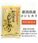 【R5年産】新潟県産 特別栽培コシヒカリ 白米 5kg